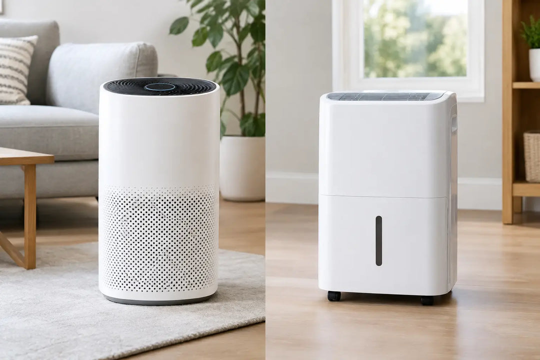 Air Purifier Versus Dehumidifier: Which Is Right?