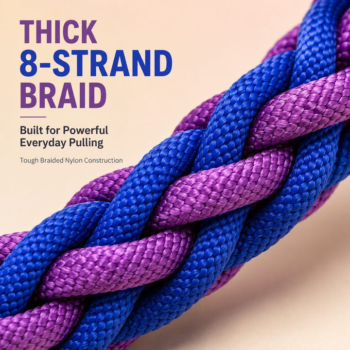 Heavy-Duty Braided Dog Leash with Chain-Control Collar for Strong Pullers