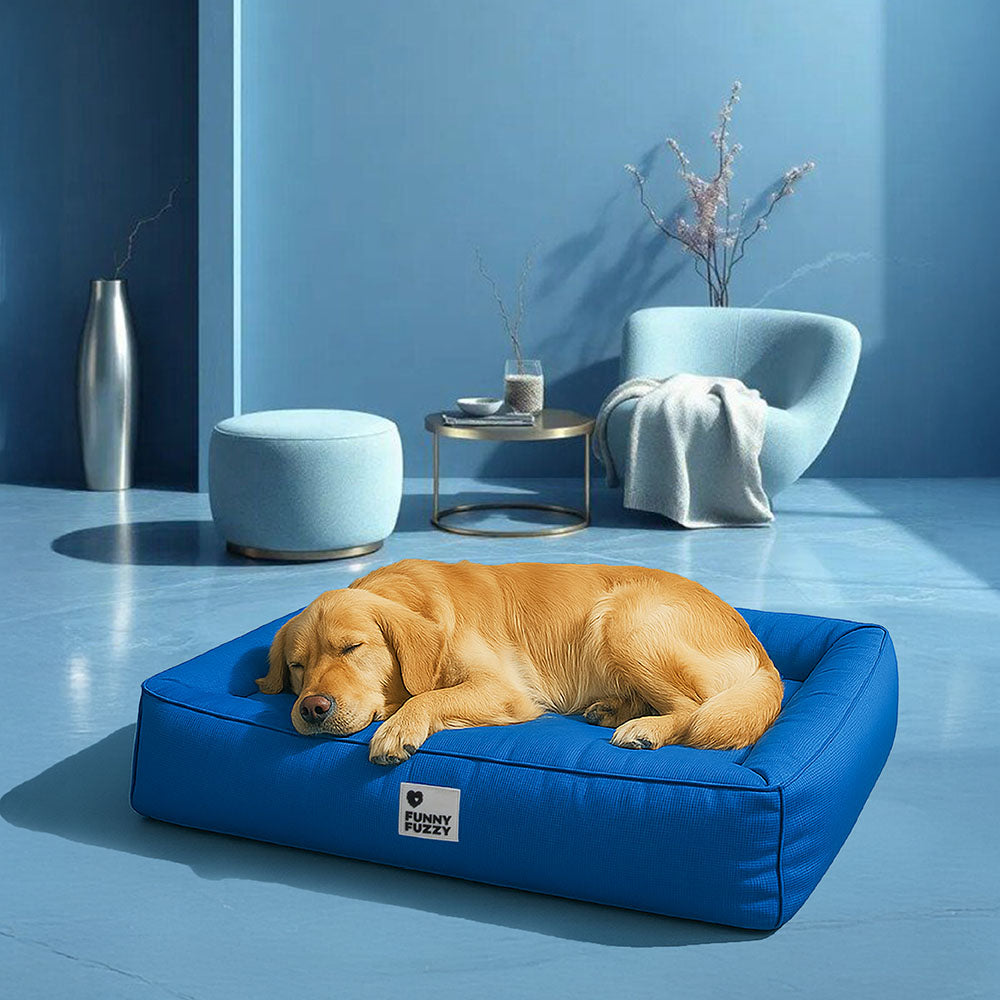 Large Dog Bed with Orthopedic Cushion and Waterproof Scratch Resistant Fabric