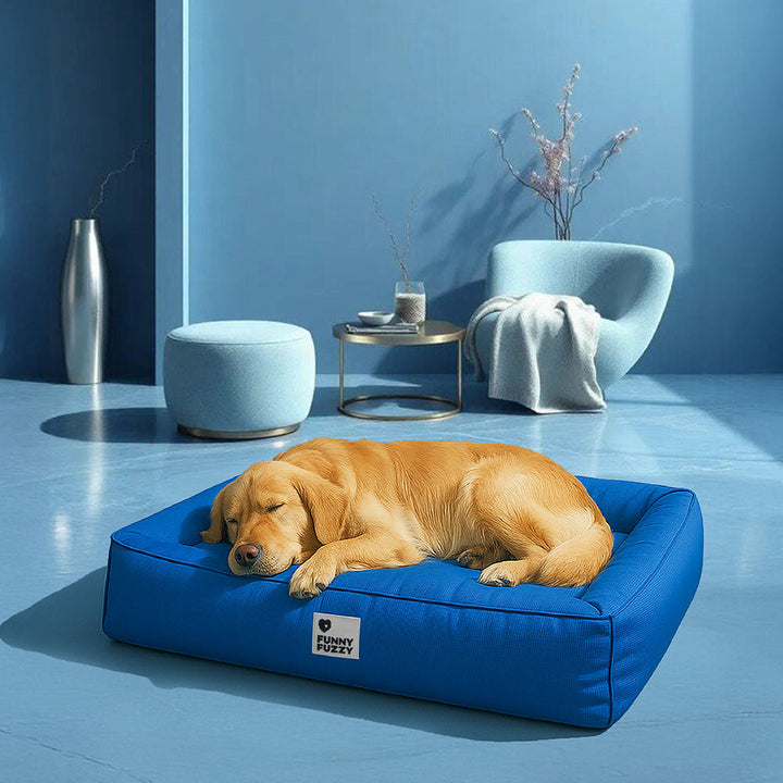Large Dog Bed with Orthopedic Cushion and Waterproof Scratch Resistant Fabric