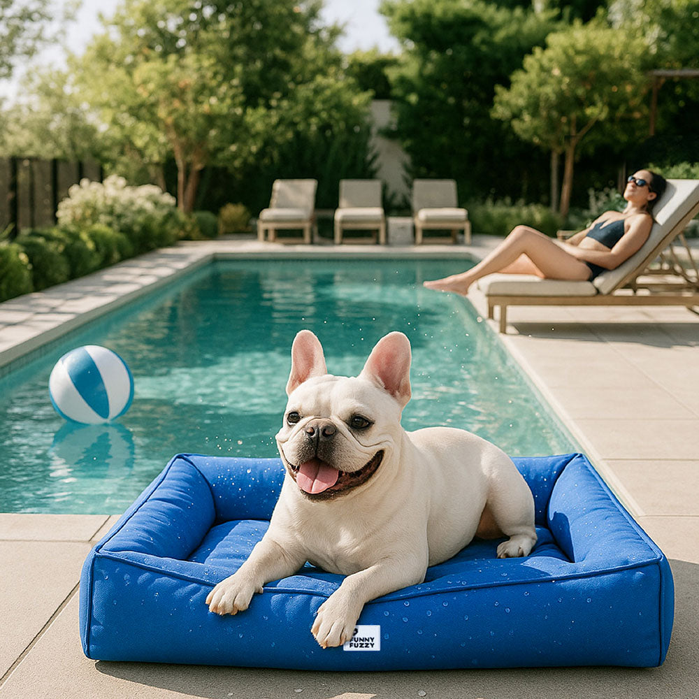 Large Dog Bed with Orthopedic Cushion and Waterproof Scratch Resistant Fabric