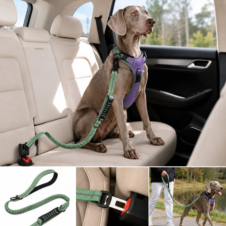 Reflective Dog Car Seat Belt Leash for Backseat Travel & Daily Walks