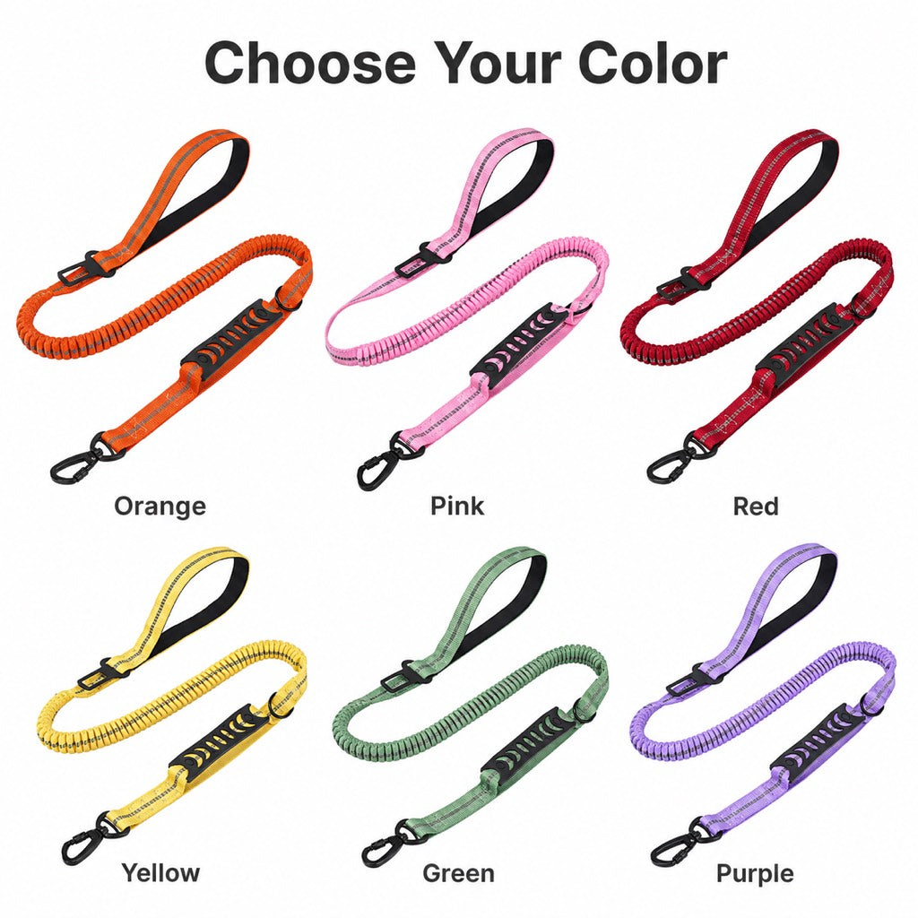 Reflective Dog Car Seat Belt Leash for Backseat Travel & Daily Walks