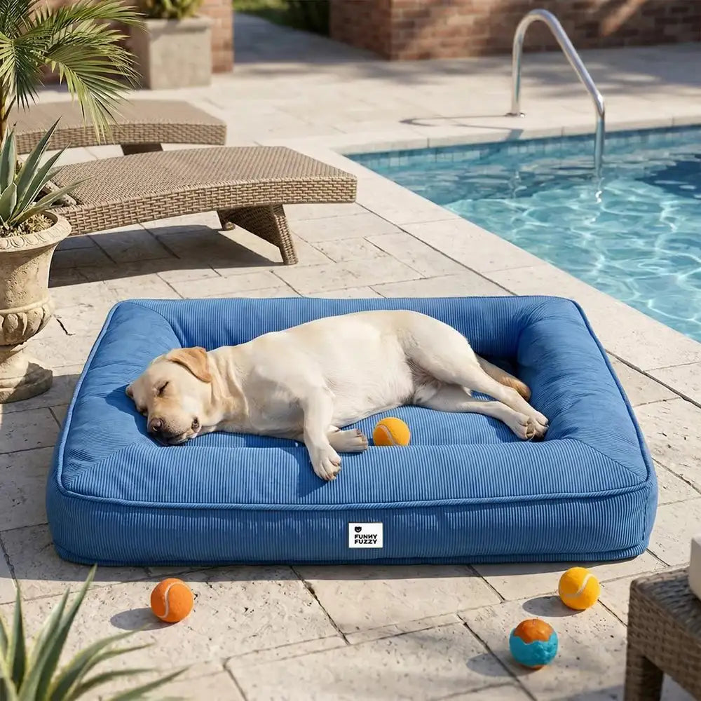 Large Dog Bed with Orthopedic Cushion and Waterproof Scratch Resistant Fabric