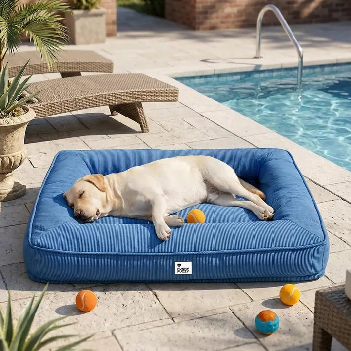 Large Dog Bed with Orthopedic Cushion and Waterproof Scratch Resistant Fabric
