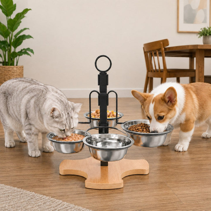 4-Bowl Adjustable Elevated Pet Feeder for Cats & Small Dogs | Organized Food and Water Station