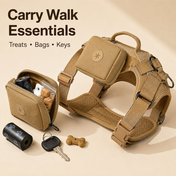5-Piece Tactical Dog Harness Set for Hiking & Training | Better Control for Strong Dogs