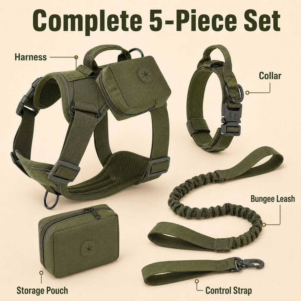 5-Piece Tactical Dog Harness Set for Hiking & Training | Better Control for Strong Dogs