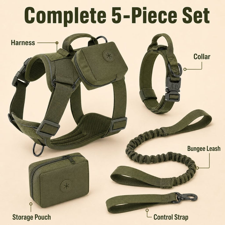 5-Piece Tactical Dog Harness Set for Hiking & Training | Better Control for Strong Dogs
