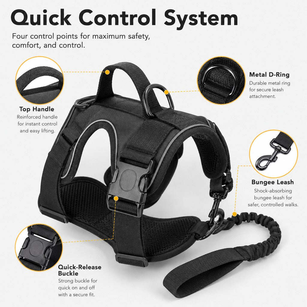 5-Piece Tactical Dog Harness Set for Hiking & Training | Better Control for Strong Dogs