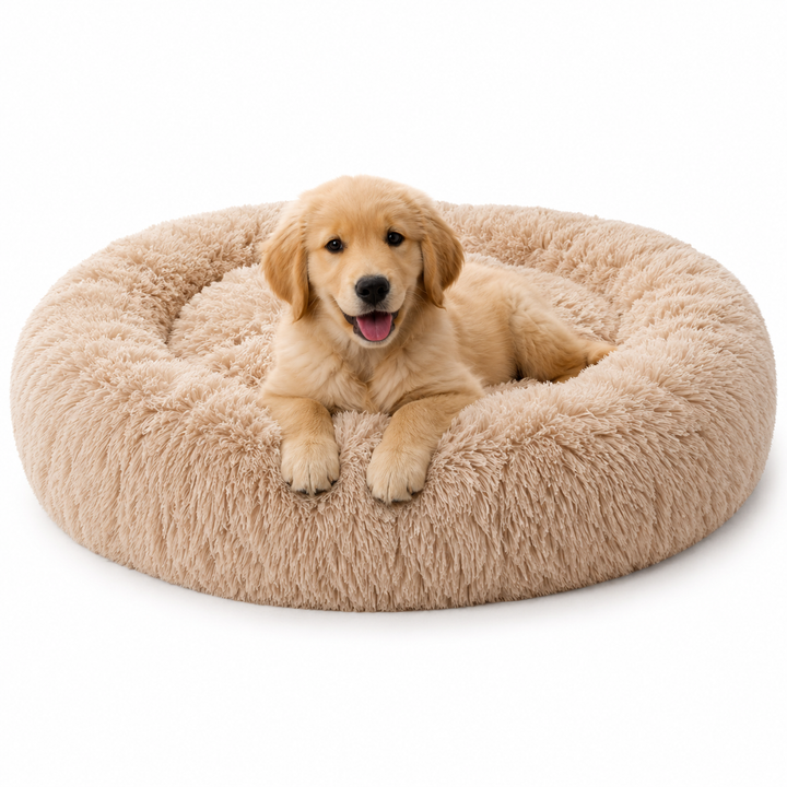 Comfort Haven | Large Dog Bed with Soft Memory Foam for Peaceful Sleep 0
