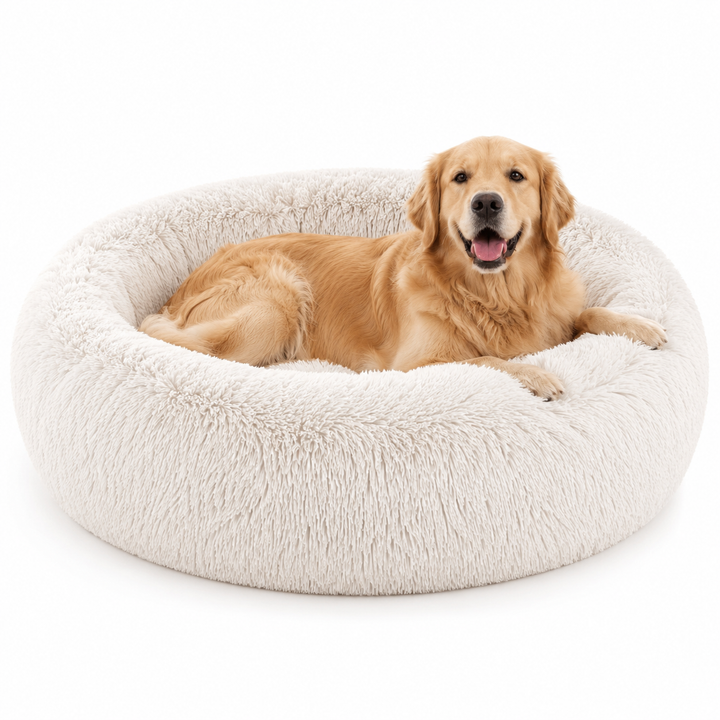 Comfort Haven | Large Dog Bed with Soft Memory Foam for Peaceful Sleep 1