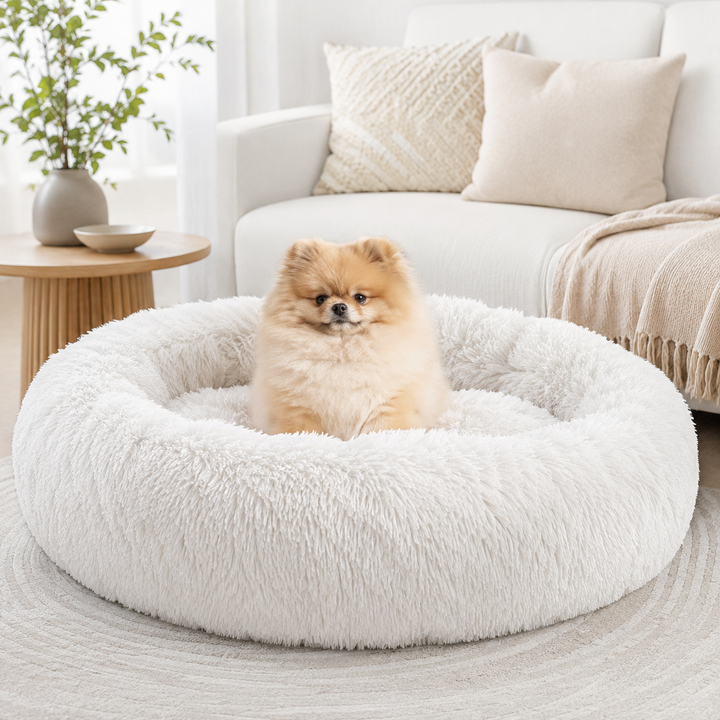 Comfort Haven | Large Dog Bed with Soft Memory Foam for Peaceful Sleep 3