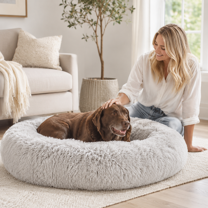 Comfort Haven | Large Dog Bed with Soft Memory Foam for Peaceful Sleep 5