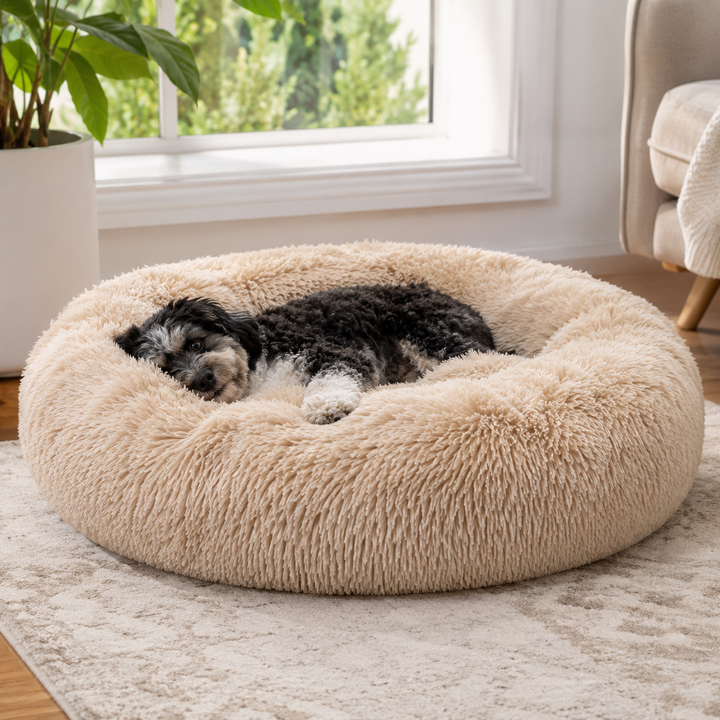 Comfort Haven | Large Dog Bed with Soft Memory Foam for Peaceful Sleep 8
