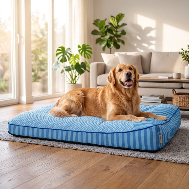 Cooling Nap | Large Orthopedic Dog Bed with Breathable Fabric | Supportive Design for Joint Health 0