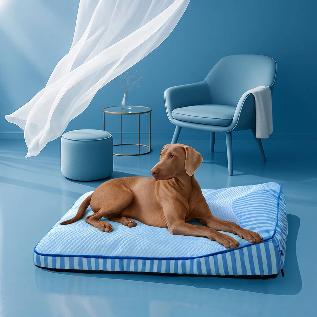 Cooling Nap | Large Orthopedic Dog Bed with Breathable Fabric | Supportive Design for Joint Health 4
