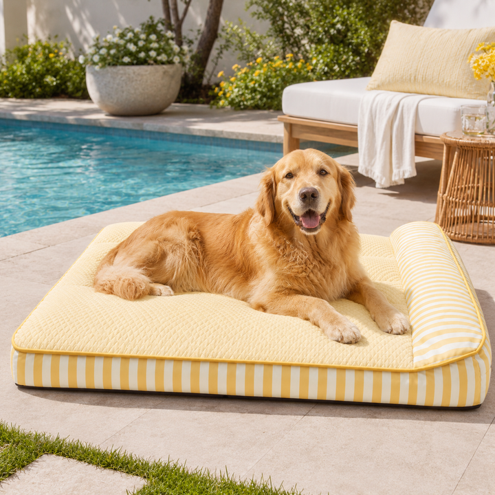Cooling Orthopedic Dog Bed | Large Design with Joint Support & Breathable Fabric for Ultimate Comfort 2