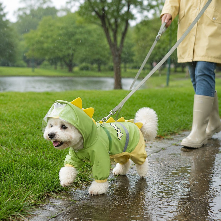 Dinosaur Dog Raincoat with Clear Visor Hood