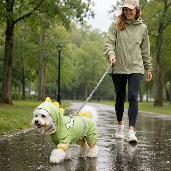 Dinosaur Dog Raincoat with Clear Visor Hood
