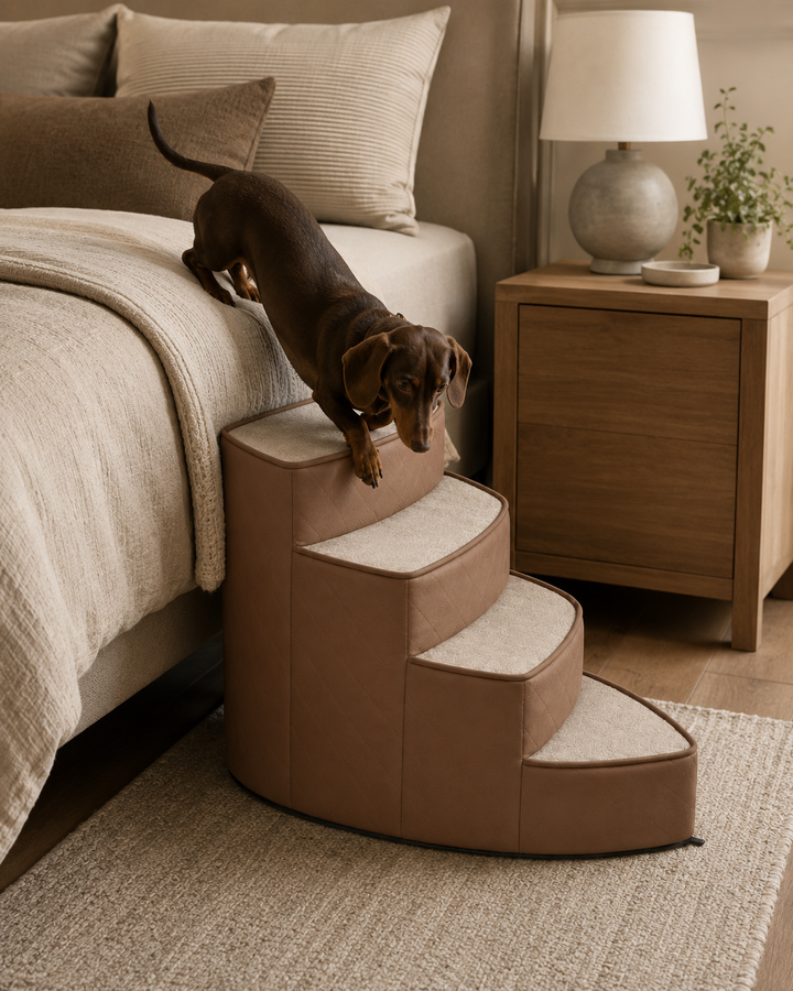 Dog Steps for Bed with Joint-Friendly Design | 3