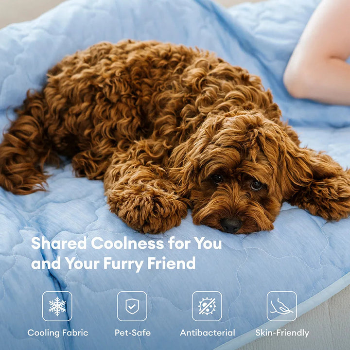 Double-Sided Cooling Dog Blanket - Chill Nest 2
