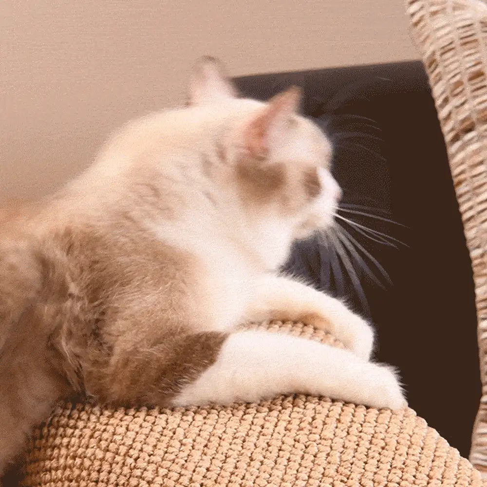 Scratch Resistant Sofa Armrest Cover for Cats with Adjustable Fit up to 30cm