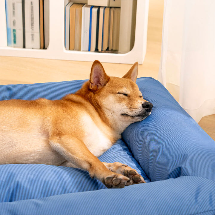 Large Dog Bed with Orthopedic Cushion and Waterproof Scratch Resistant Fabric