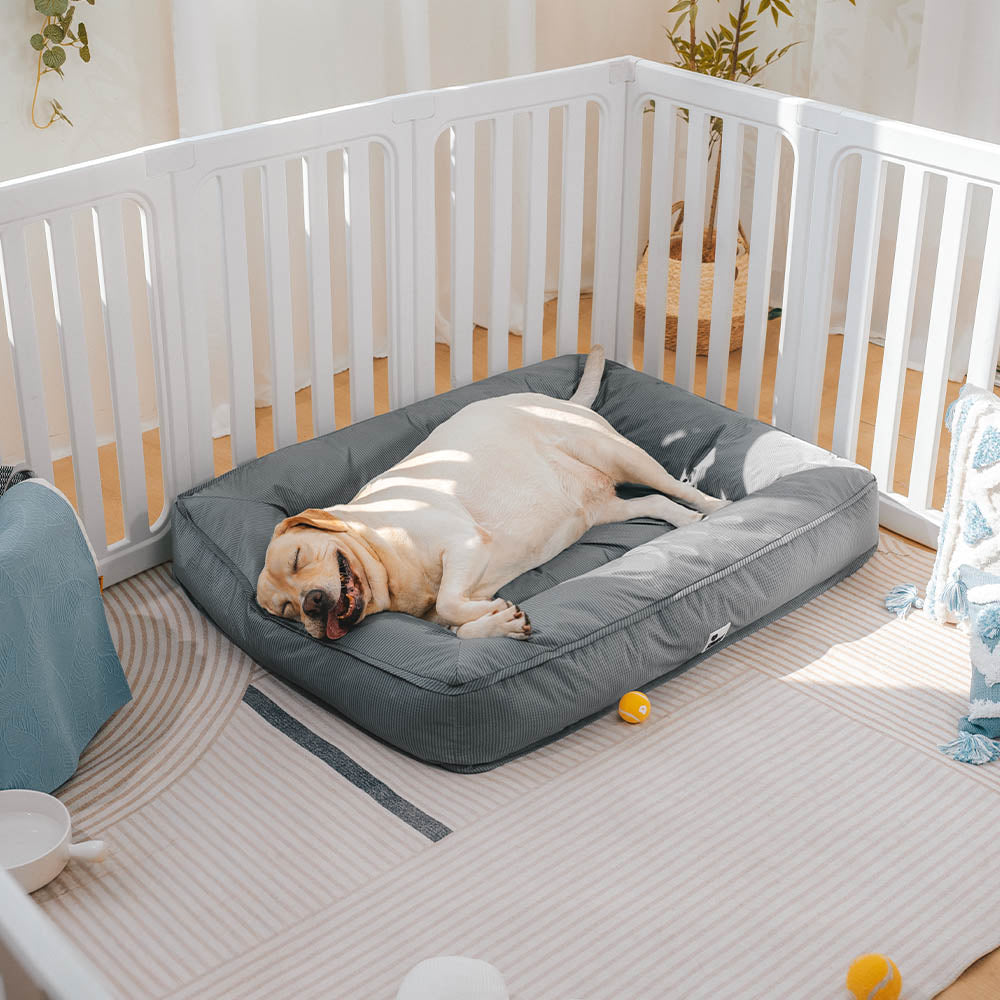 Large Dog Bed with Orthopedic Cushion and Waterproof Scratch Resistant Fabric
