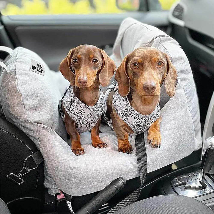 ISOFIX Dog Car Seat Bed with LATCH System - First Class 3