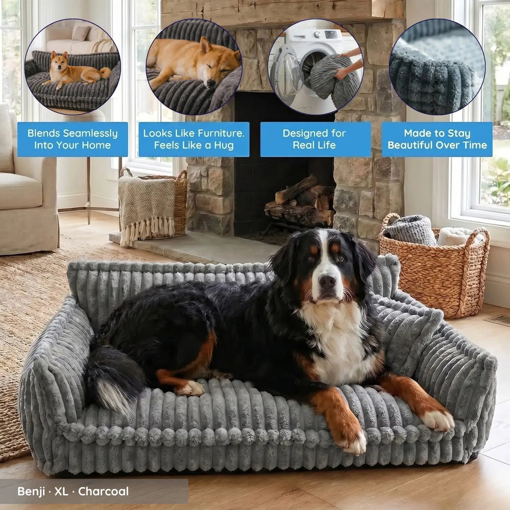 MrFluffyFriend™ - Luxury Orthopedic Dog Sofa 1