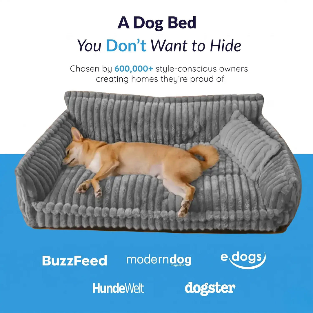 MrFluffyFriend™ - Luxury Orthopedic Dog Sofa 2