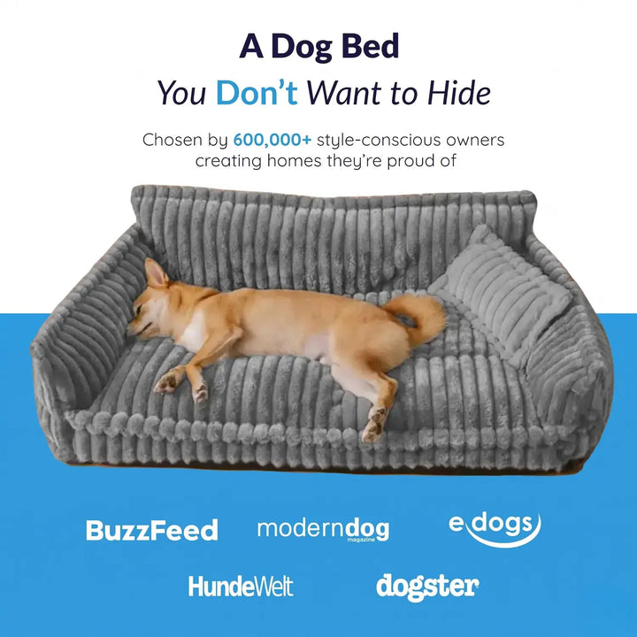 MrFluffyFriend™ - Luxury Orthopedic Dog Sofa 2