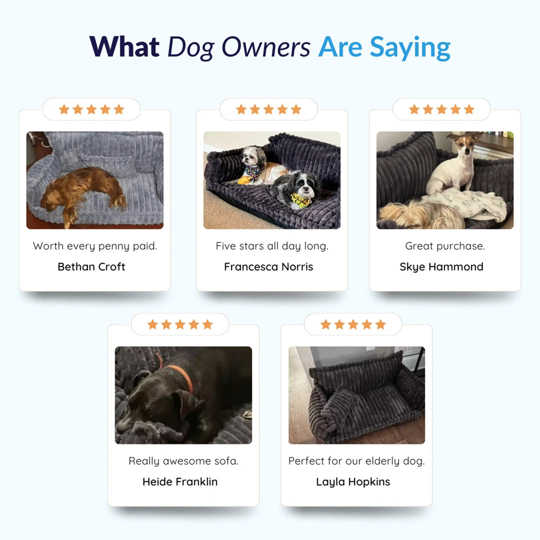 MrFluffyFriend™ - Luxury Orthopedic Dog Sofa 5