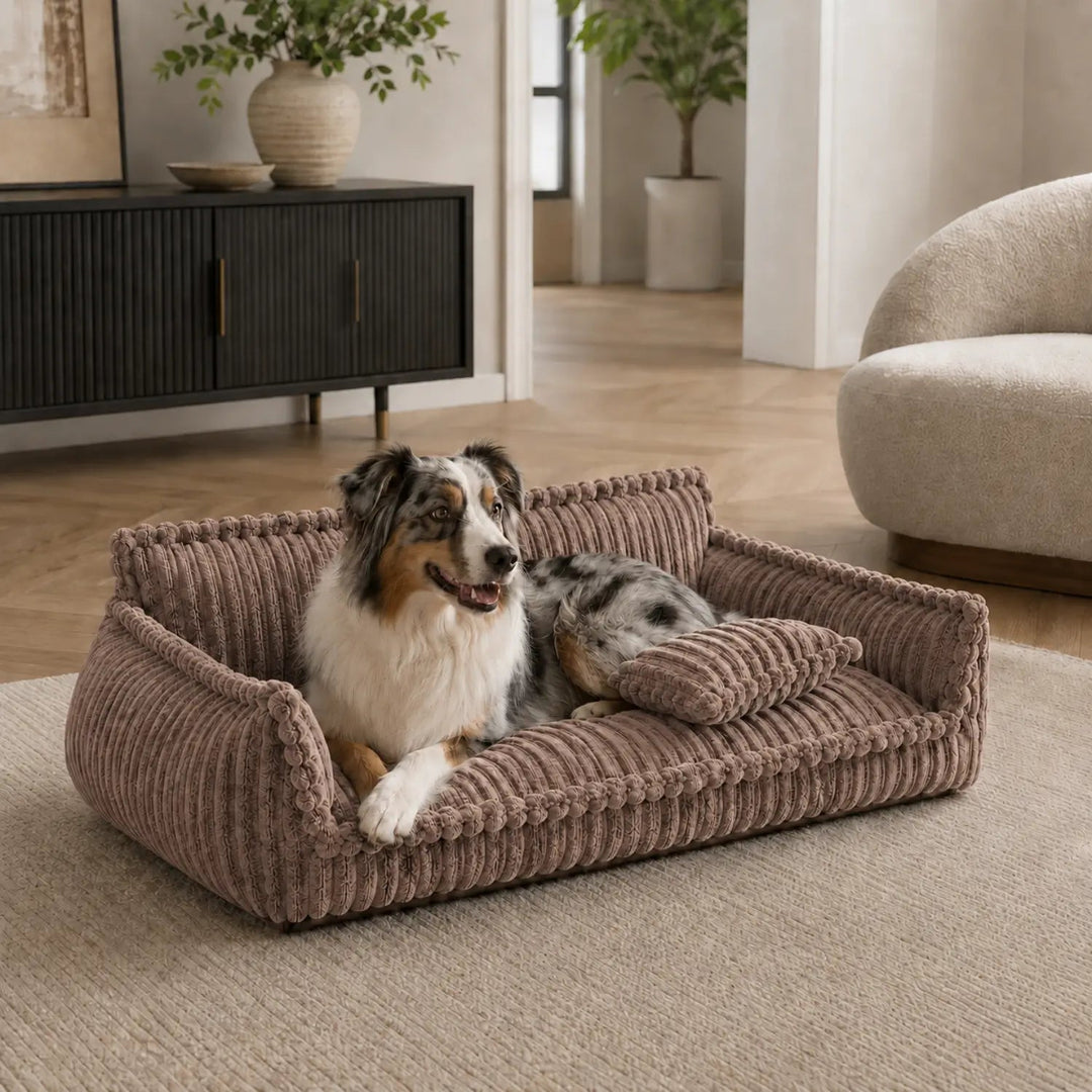 MrFluffyFriend™ - Luxury Orthopedic Dog Sofa 9