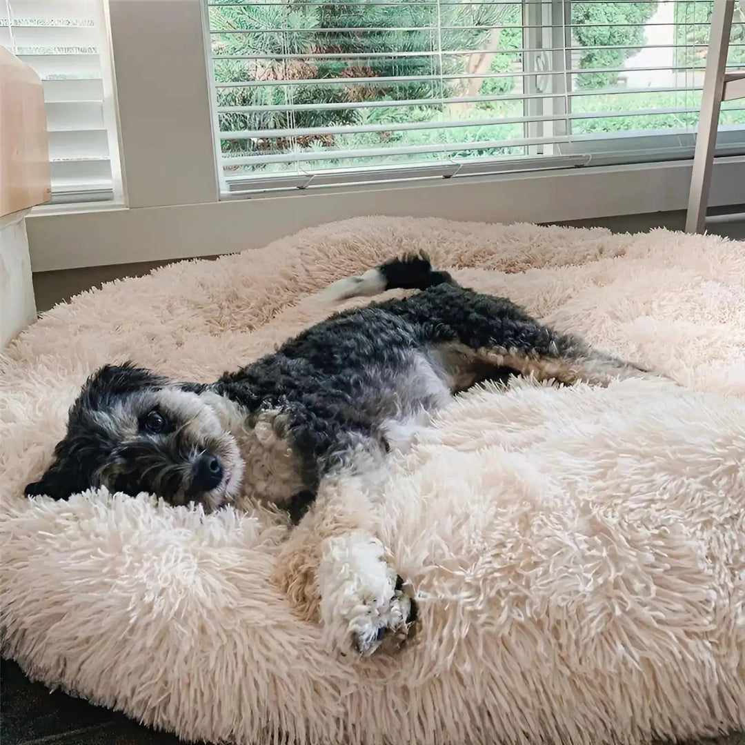 MrFluffyFriend™ - World's #1 Anxiety Relieving Dog Bed 0