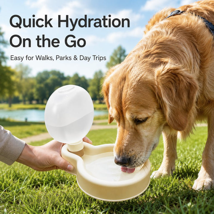 Portable Pet Water Bottle for Dogs & Cats
