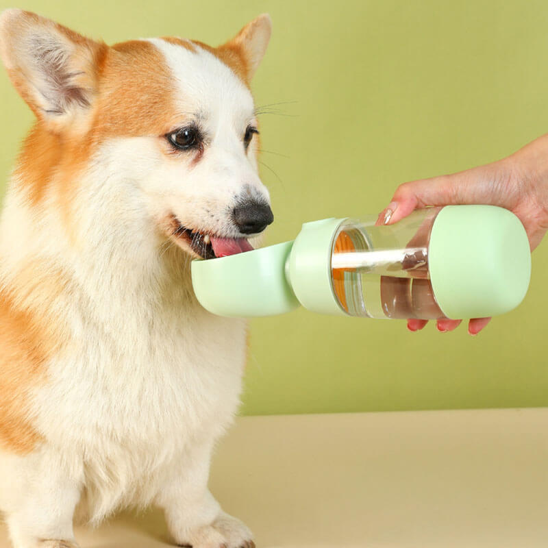 Portable Dog Water Bottle with Food Container for Walks Travel Hiking 2