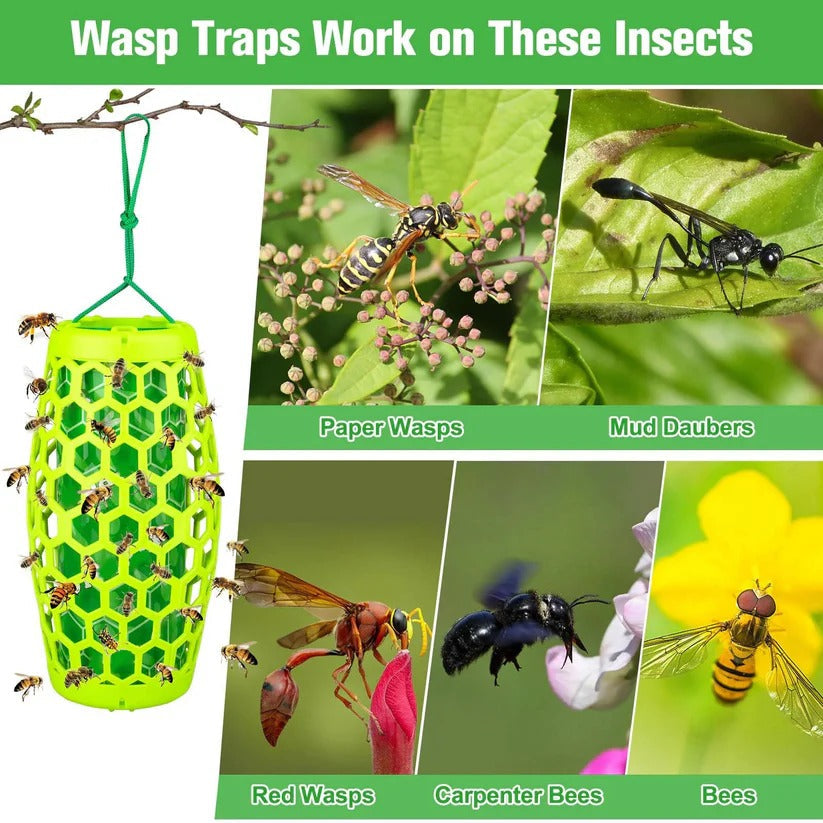 Reusable Hanging Wasp and Hornet Catcher Trap for Outdoor Garden Use, Set of 2 4
