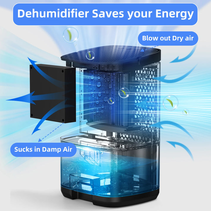 Portable Dehumidifier | 1000ml Quiet Tank for Bedrooms and Small Rooms