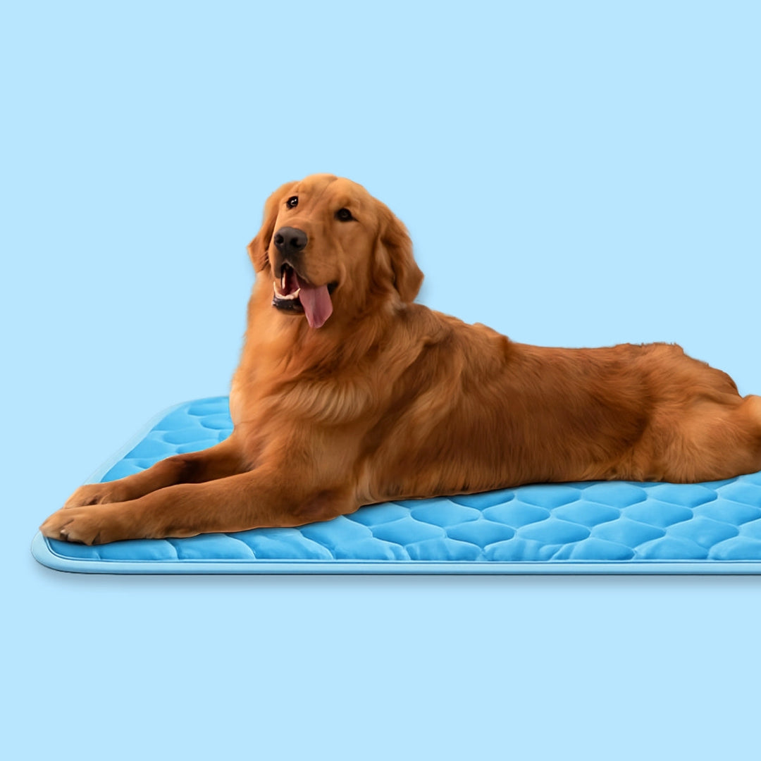 Self-Cooling Dog Mat | Non-Toxic Gel-Free Design for Portable Heat Relief 1