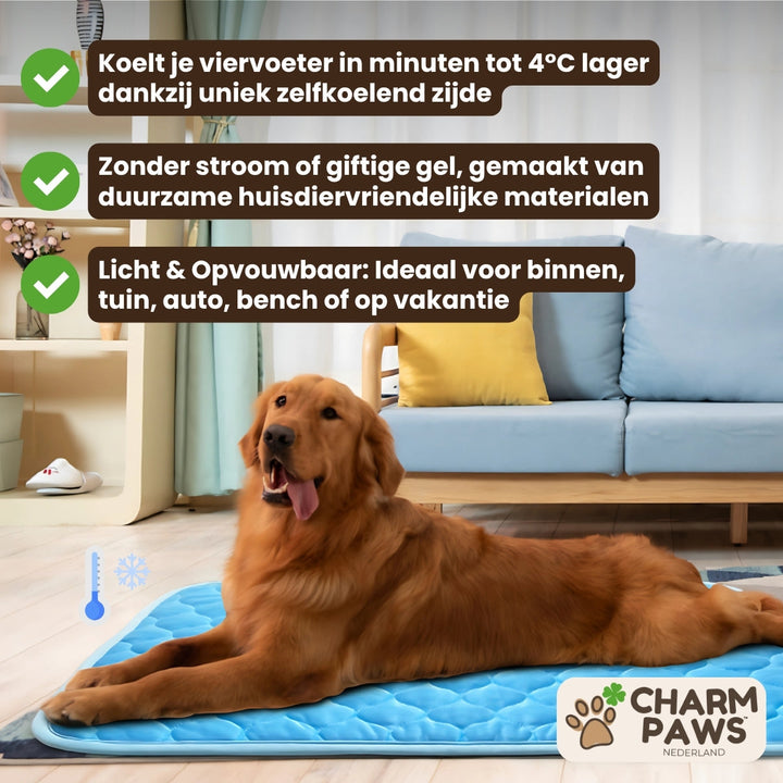 Self-Cooling Dog Mat | Non-Toxic Gel-Free Design for Portable Heat Relief 2