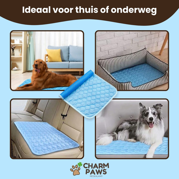 Self-Cooling Dog Mat | Non-Toxic Gel-Free Design for Portable Heat Relief 6