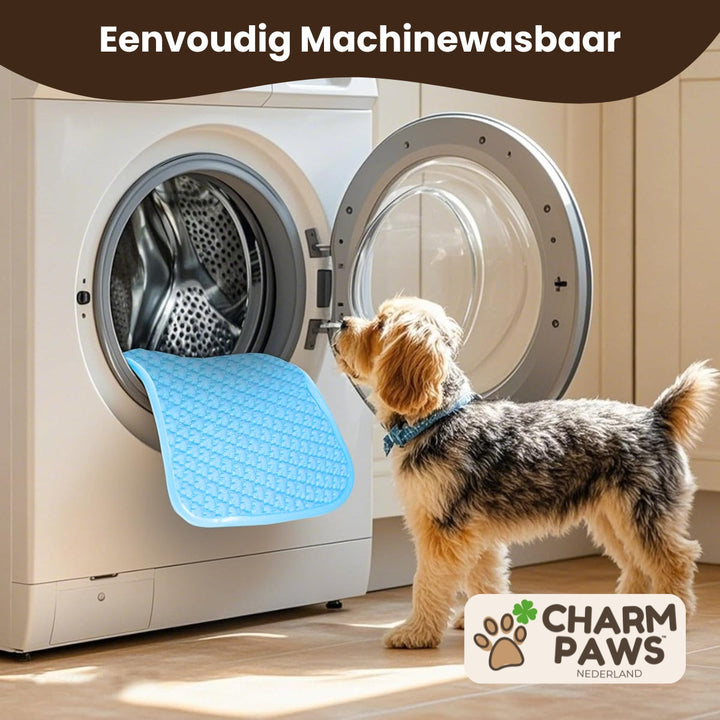 Self-Cooling Dog Mat | Non-Toxic Gel-Free Design for Portable Heat Relief 8