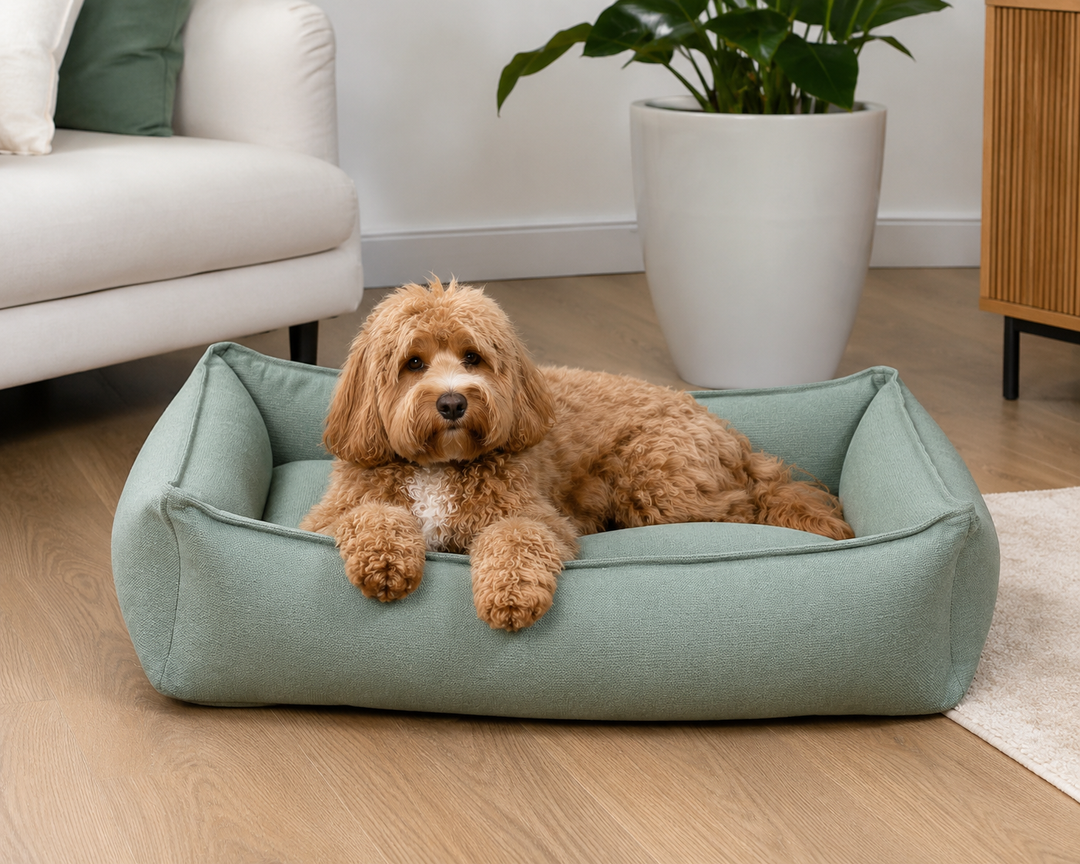 Spacious Dog Bed | Large Dog Bed with Hypoallergenic Foam Filling 3