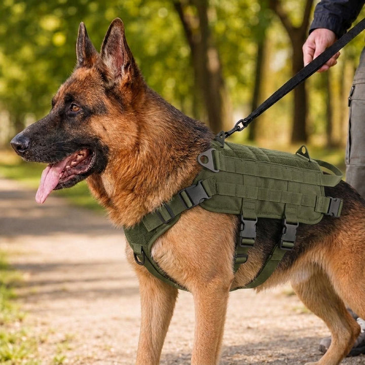 Tactical Dog Backpack Harness for Hiking & Daily Walks