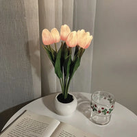 6 Pink Tulips