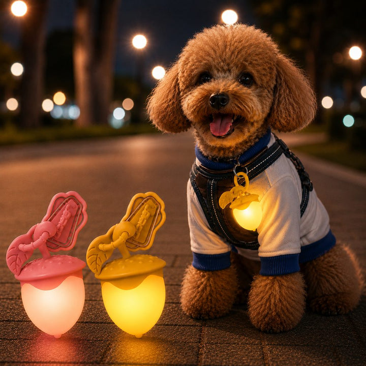 AcornGlow USB-C Rechargeable Pet Safety Light for Night Walks