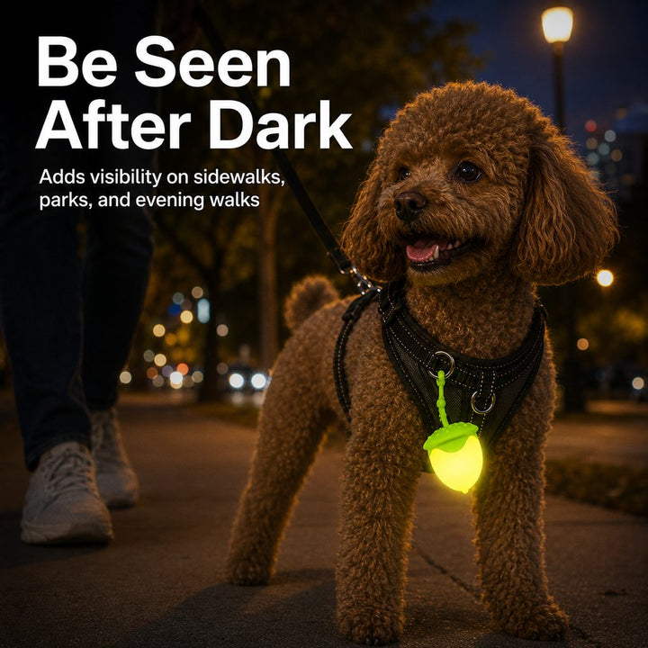 AcornGlow USB-C Rechargeable Pet Safety Light for Night Walks