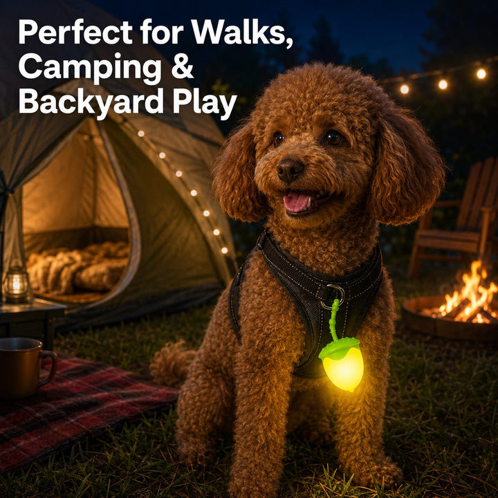 AcornGlow USB-C Rechargeable Pet Safety Light for Night Walks